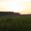 IMGP9845