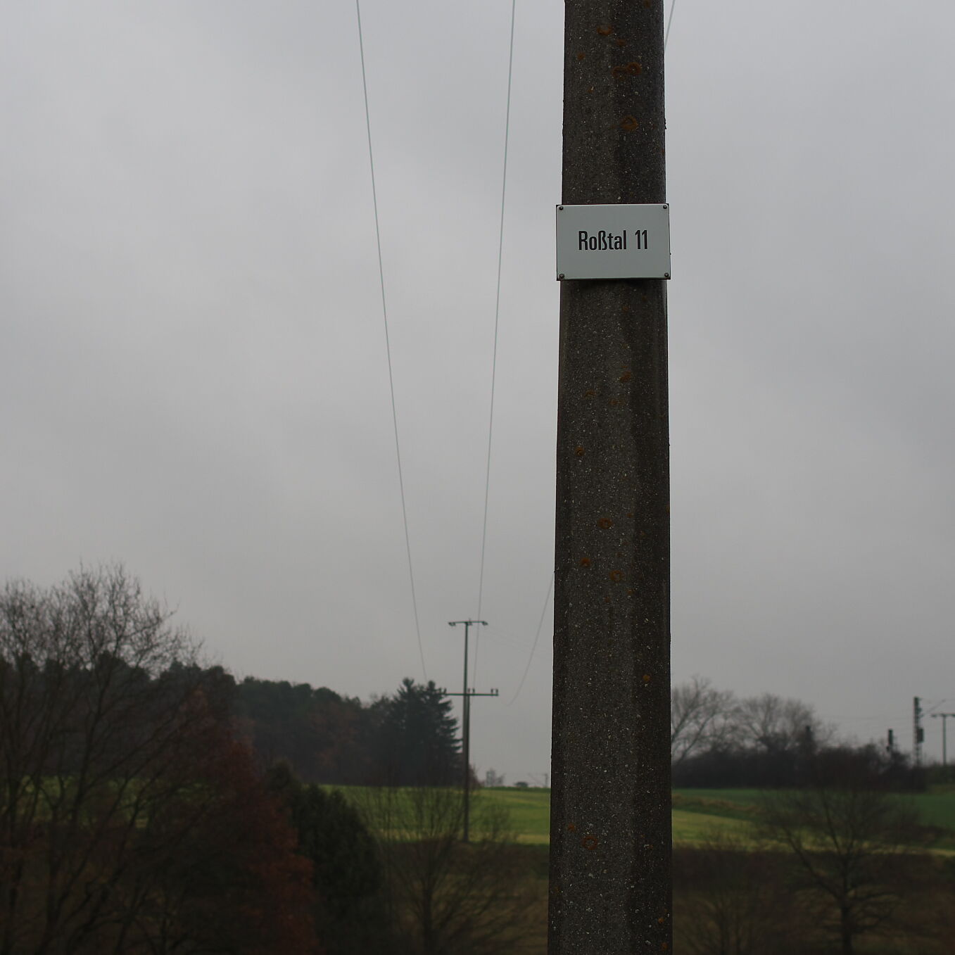 IMGP0028