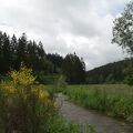IMT06949.jpg