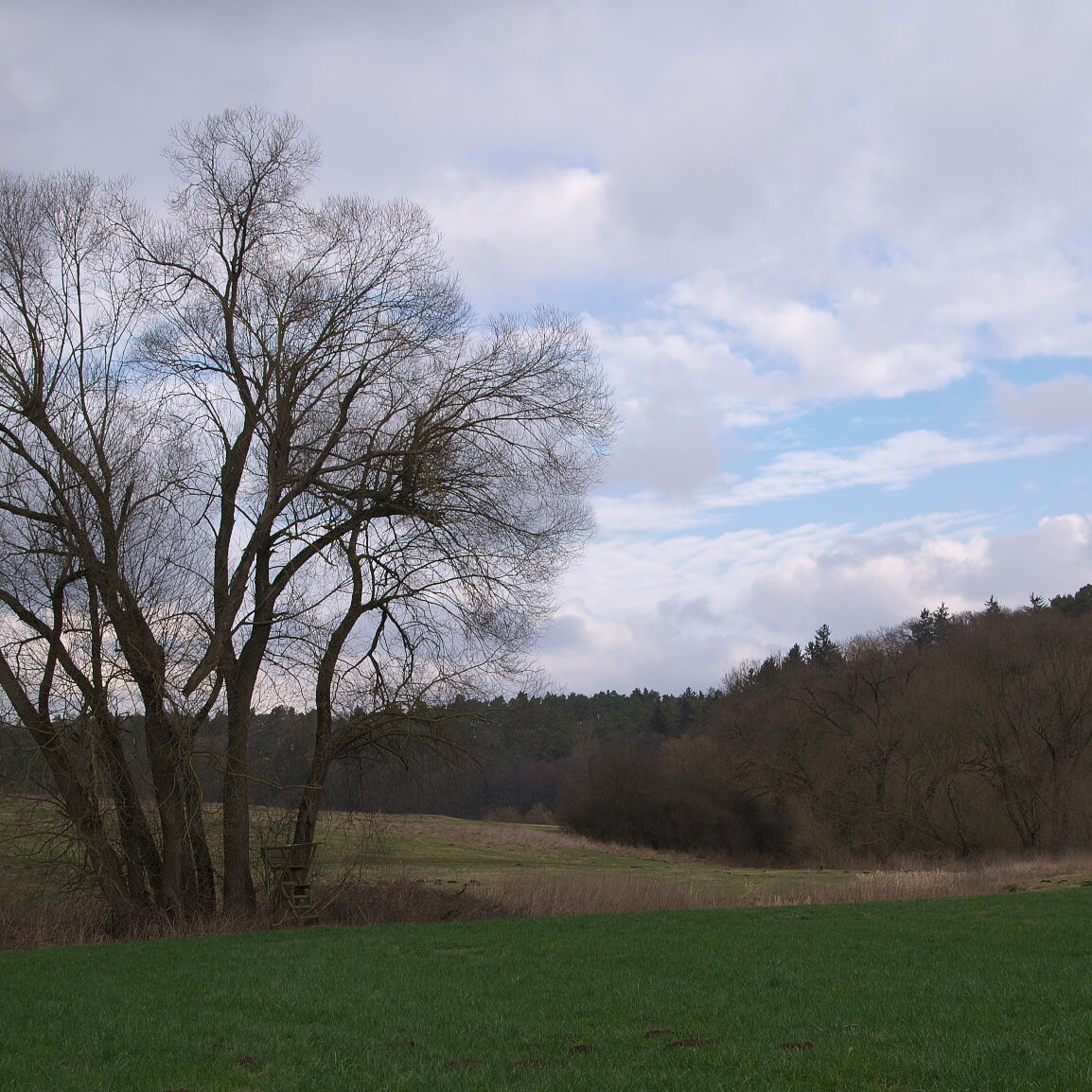 IMGP9369