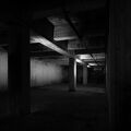 DSCF8549.jpg