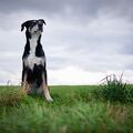 XT209235.jpg