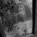 DSCF9920.jpg