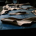 DSCF4485.jpg