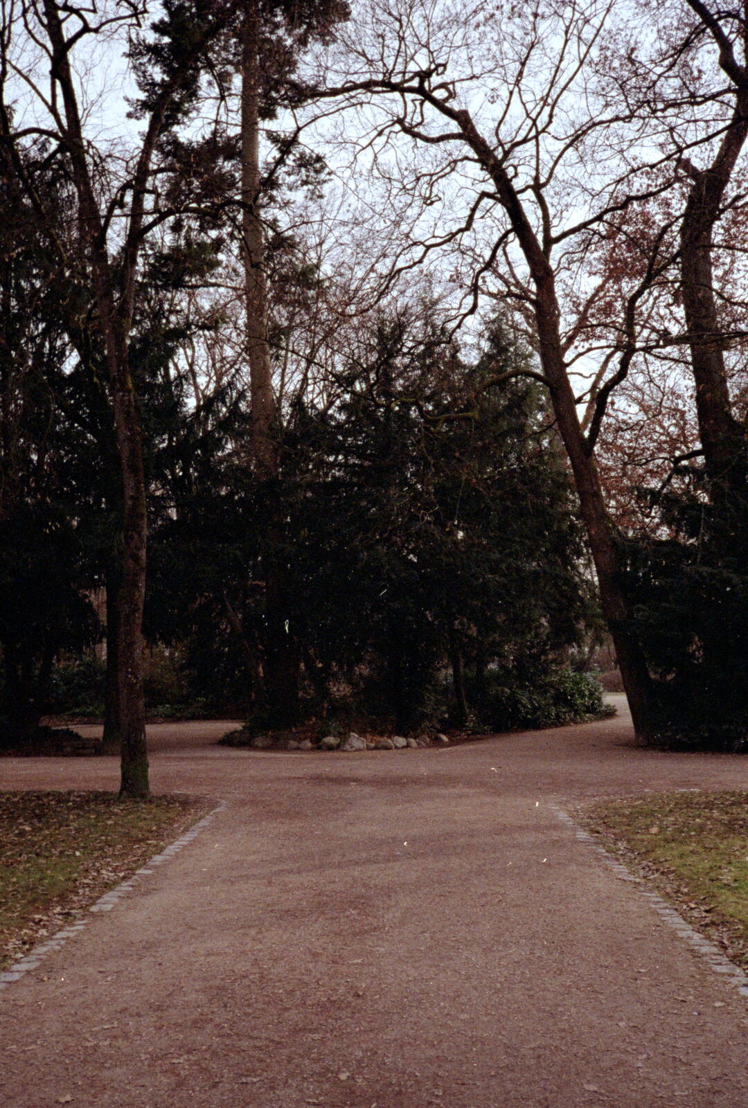 2025-04-27-0035.jpg