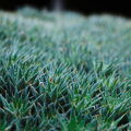 DSCF3776.jpg