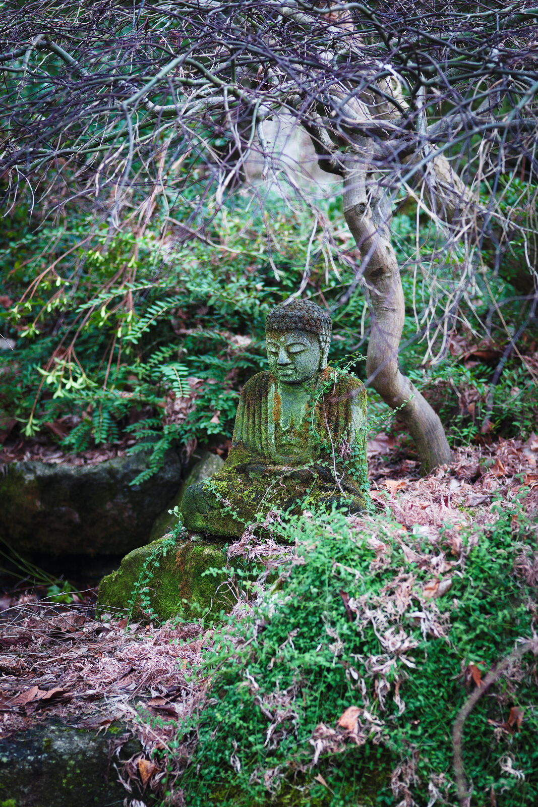 DSCF3768.jpg