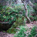 DSCF3768.jpg