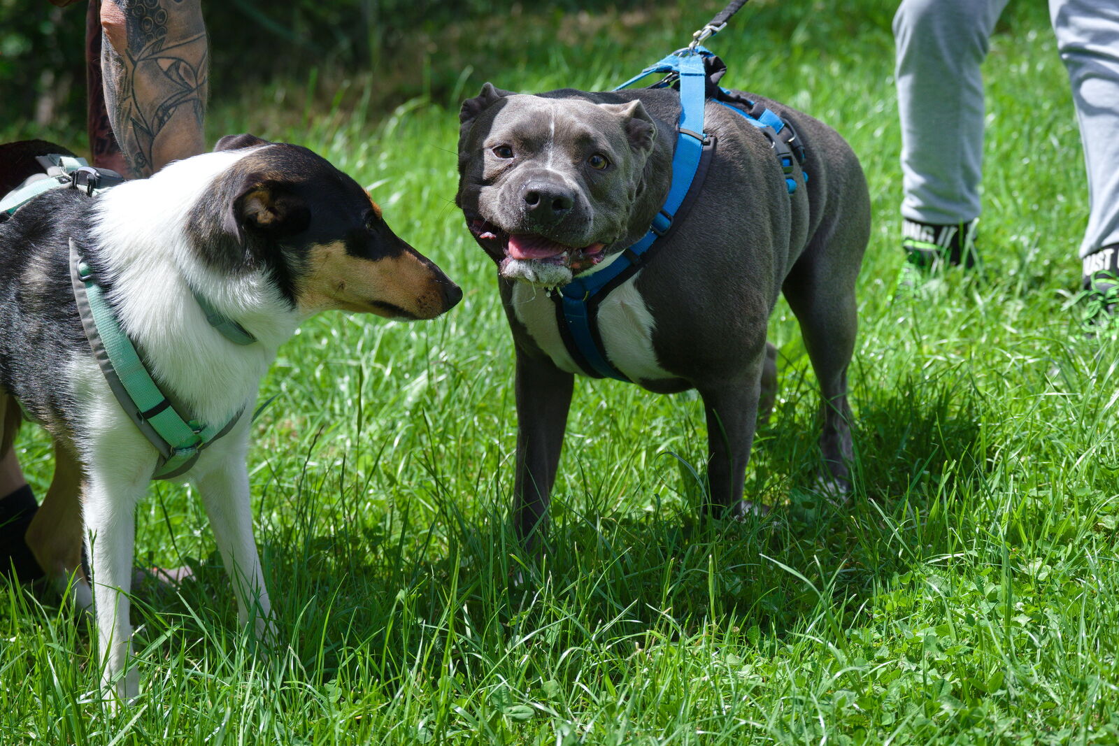 DSCF4751.jpg