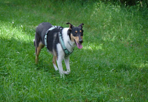DSCF4738