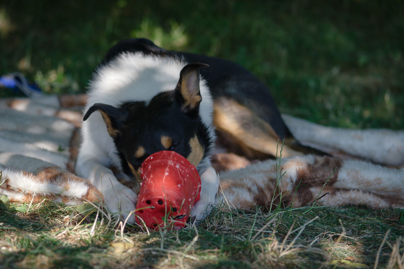 DSCF4956.jpg