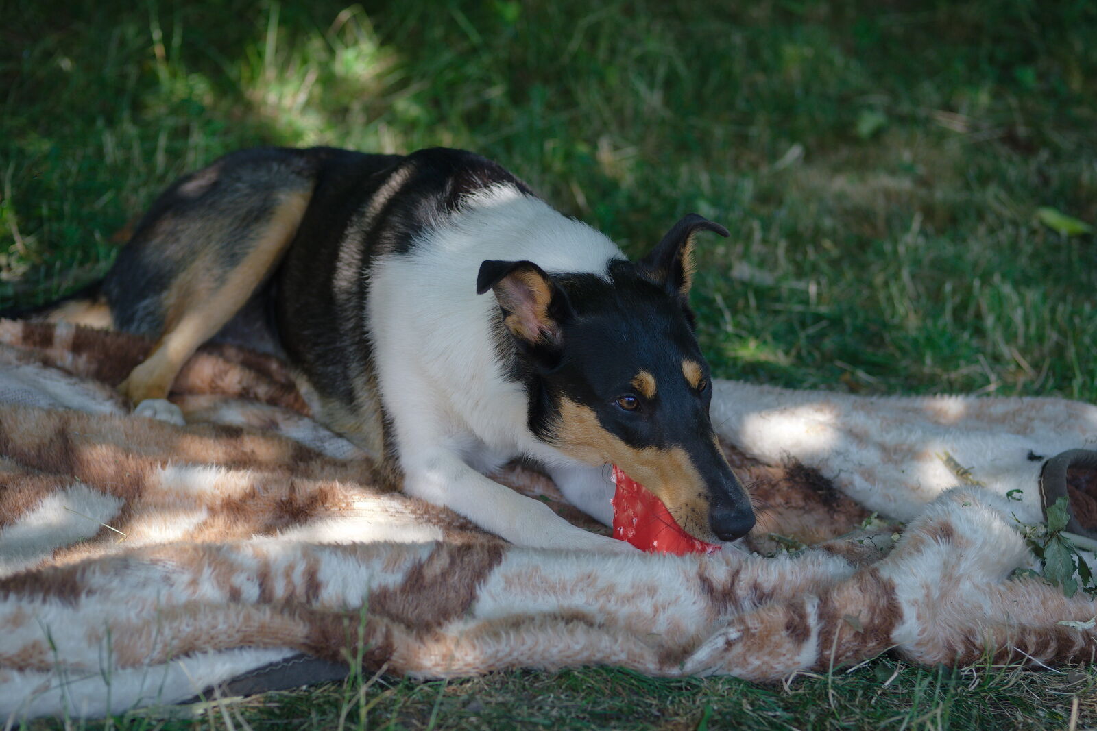DSCF4946.jpg