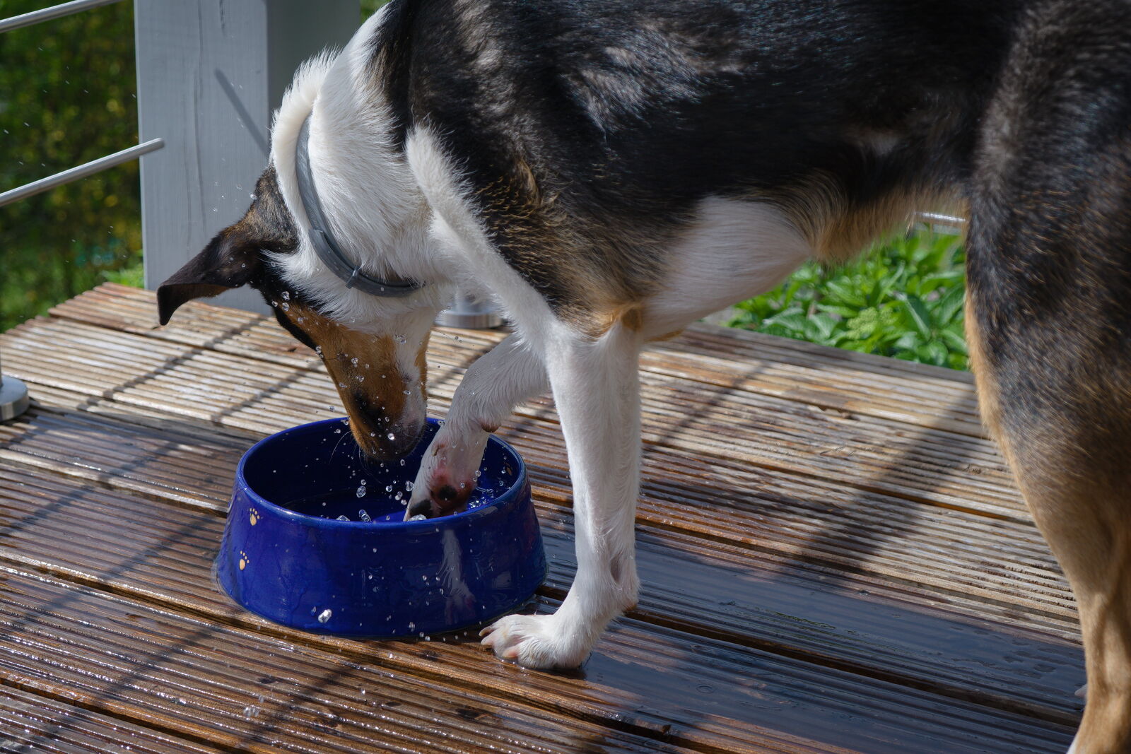 DSCF4140.jpg