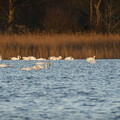 DSCF8535.jpg