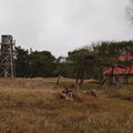 DSCF8612.jpg