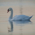 DSCF8547.jpg