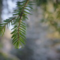 DSCF8744