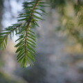 DSCF8744.jpg