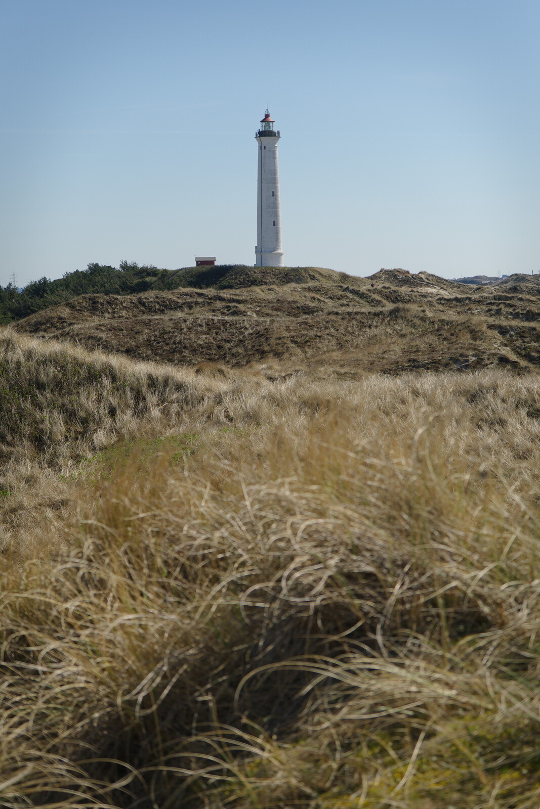 DSCF9379.jpg