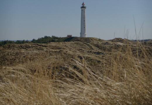 DSCF9386