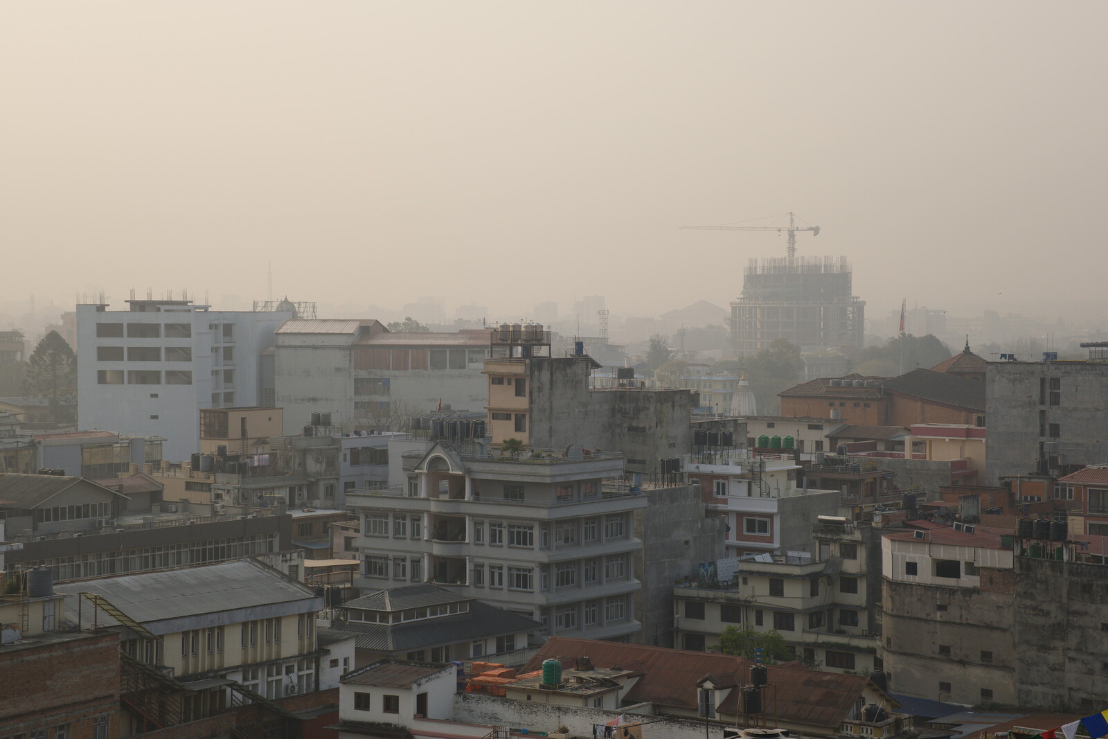 DSCF8785.jpg