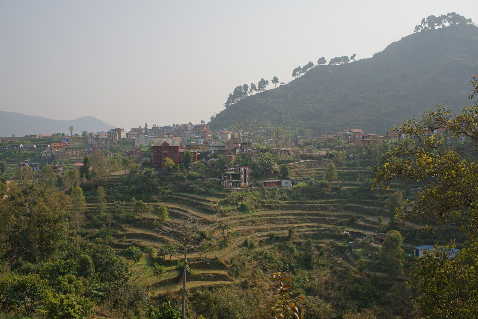 DSCF8796.jpg