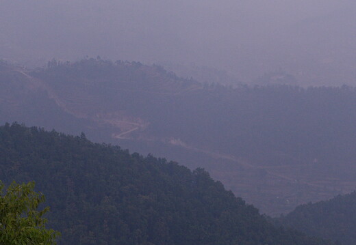 DSCF8804