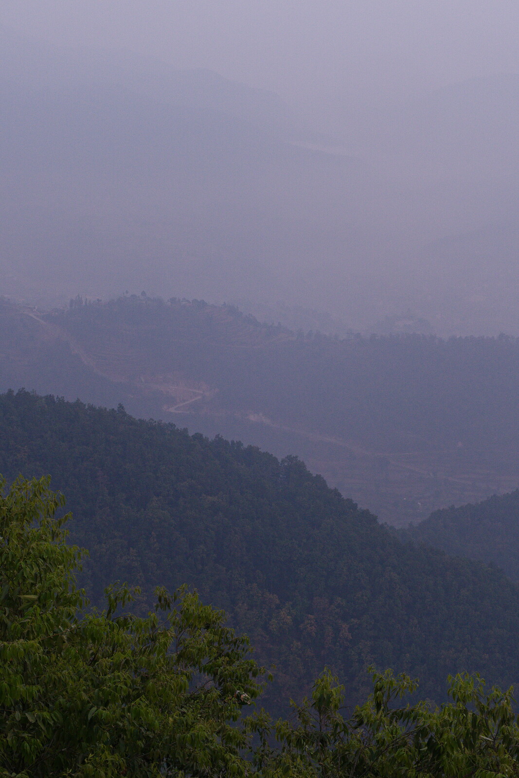 DSCF8804.jpg