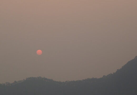 DSCF8810
