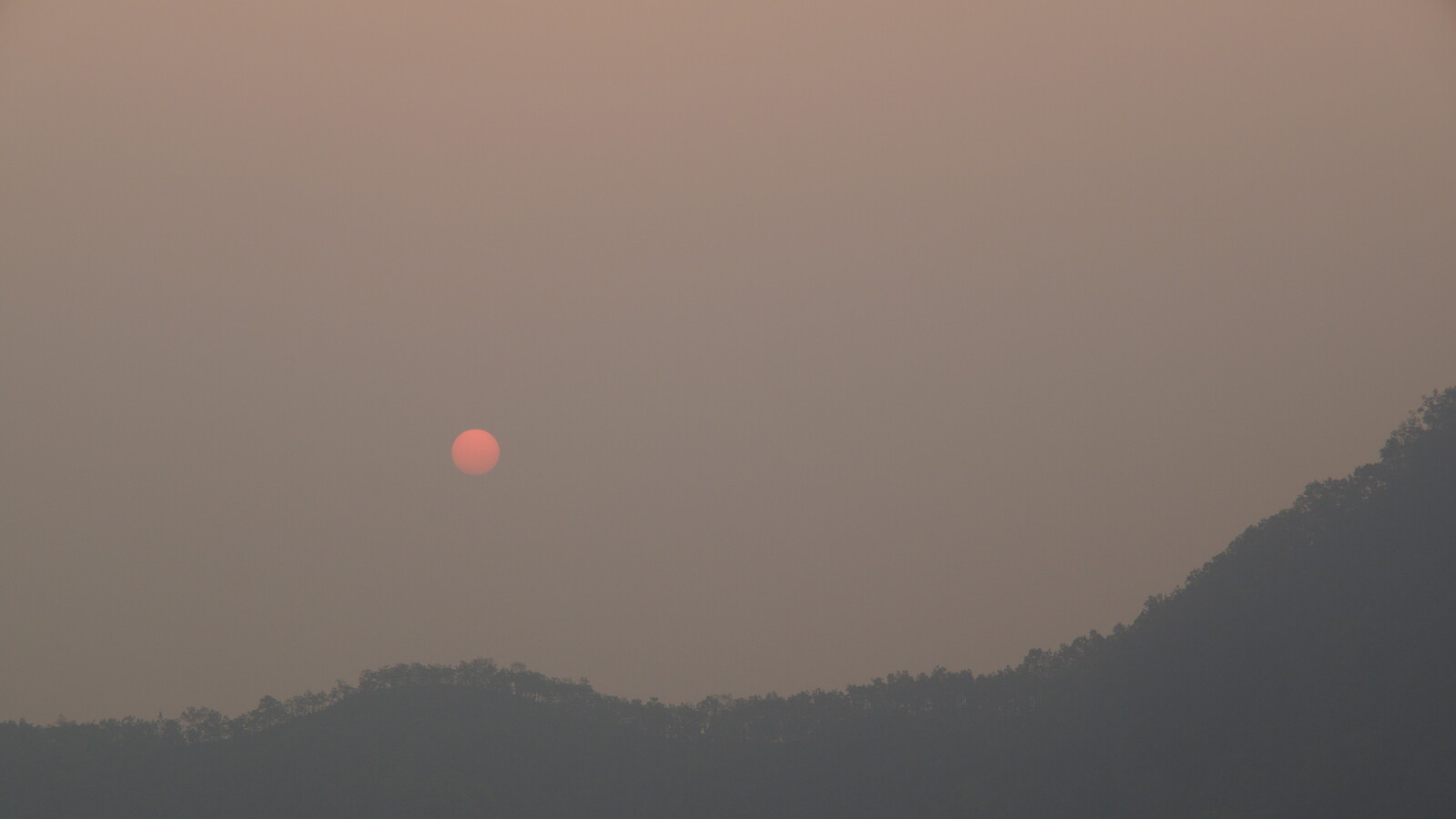 DSCF8810.jpg