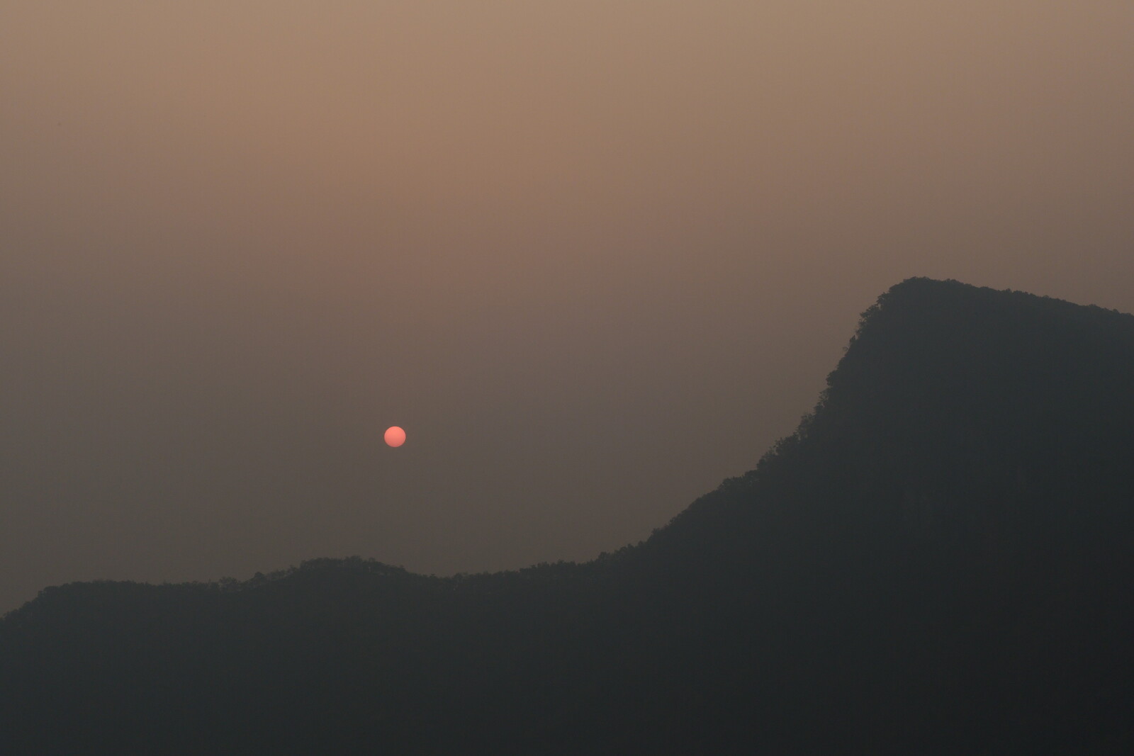 DSCF8815.jpg