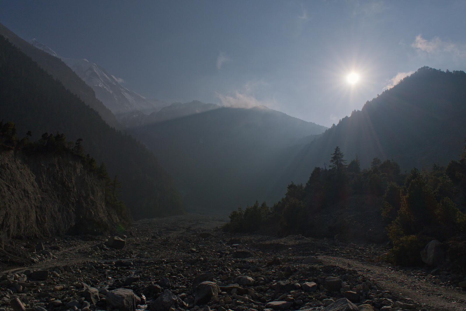 DSCF8837.jpg