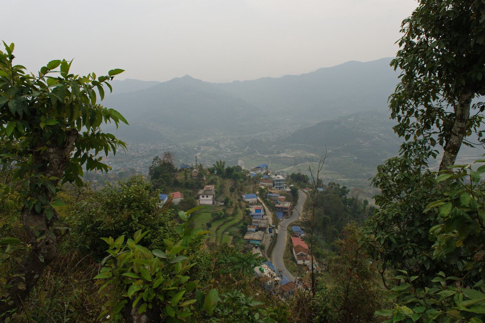 DSCF8866.jpg