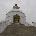 DSCF8867.jpg