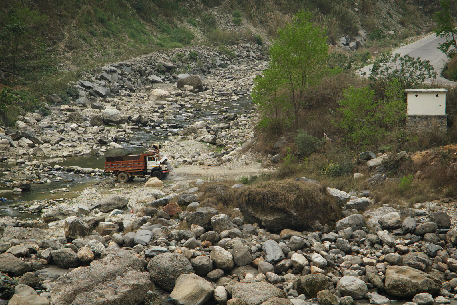 DSCF8884.jpg