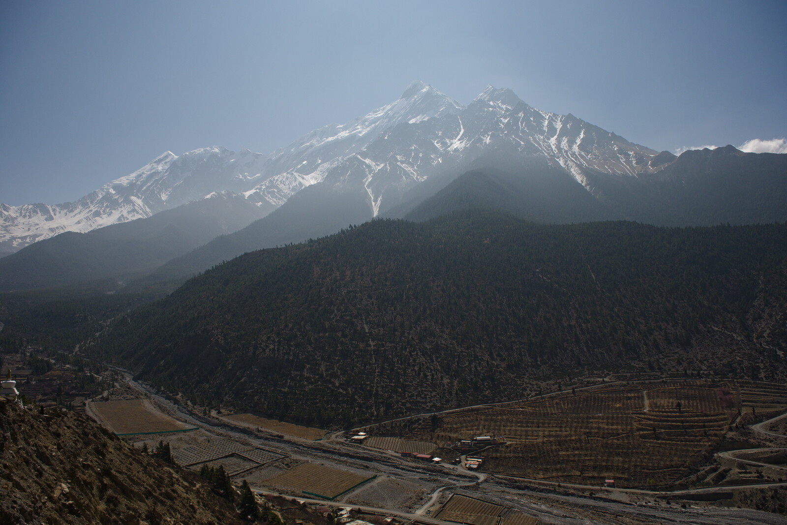 DSCF8913.jpg