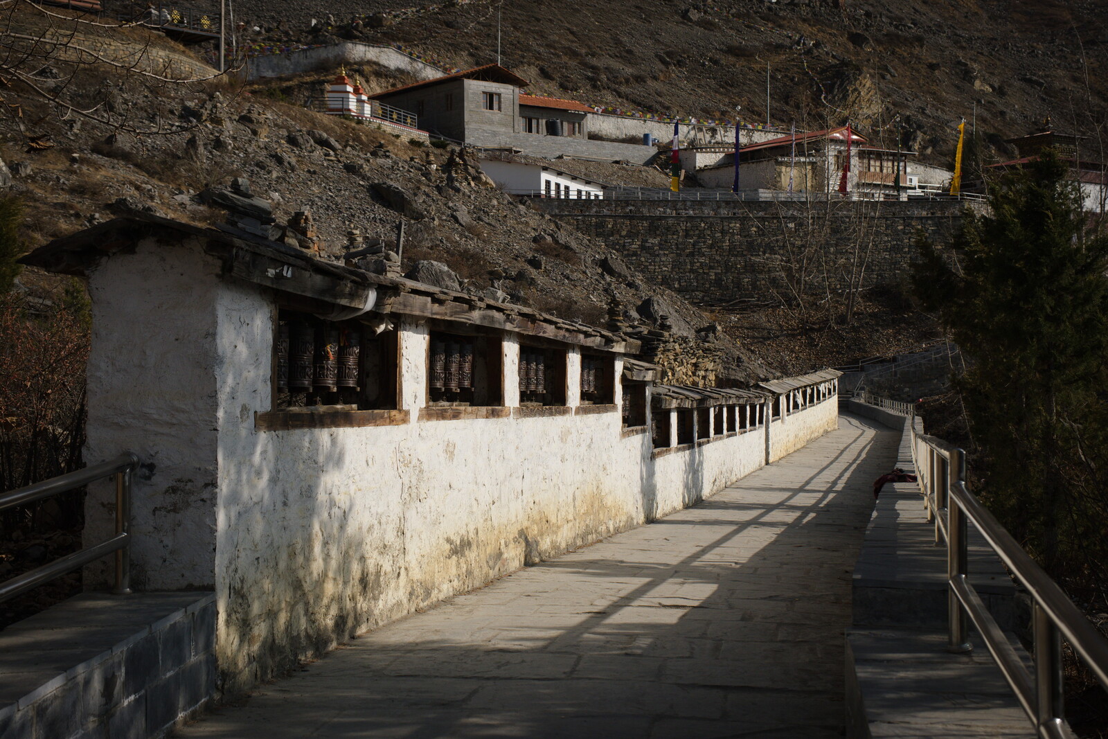DSCF8946.jpg