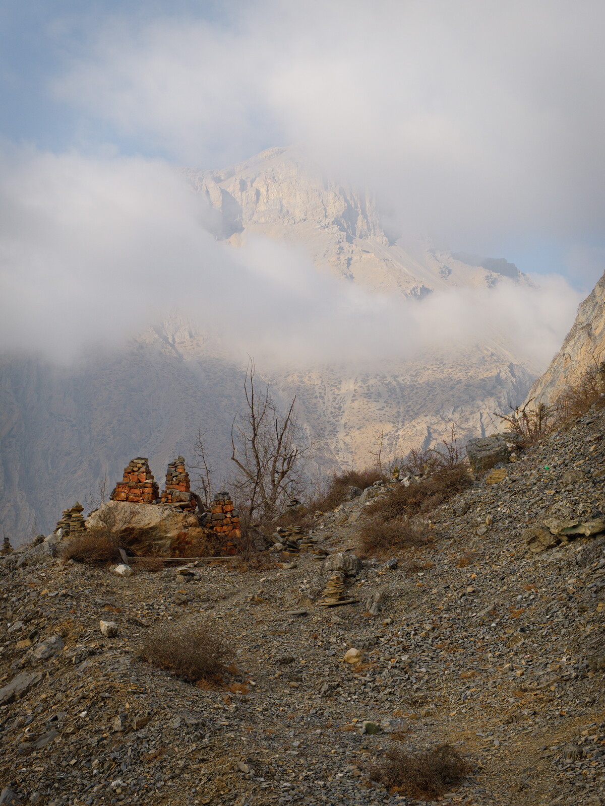 DSCF8964.jpg