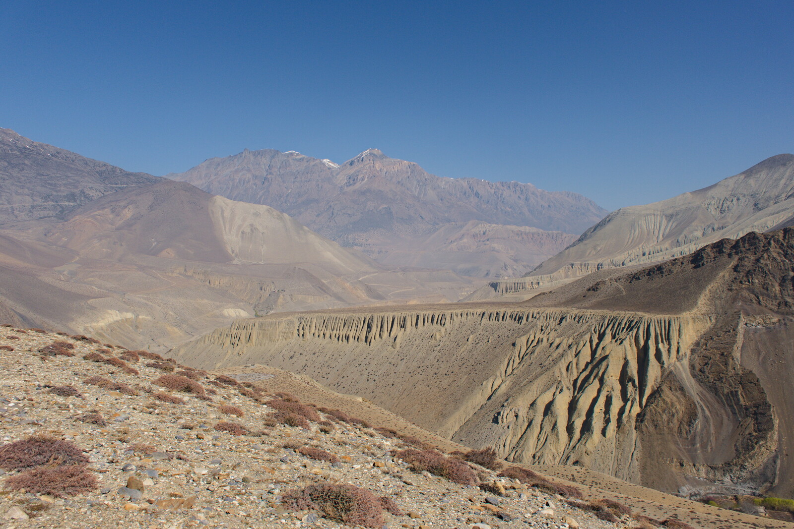 DSCF8970.jpg
