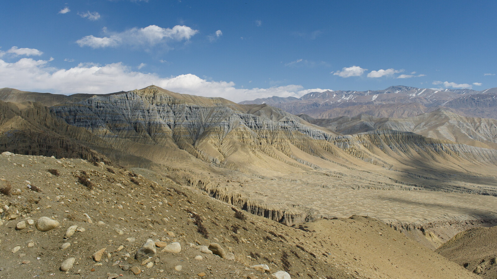 DSCF8988.jpg