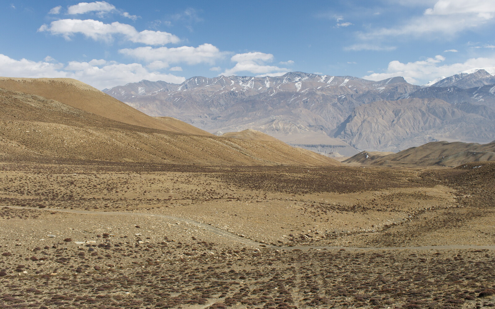 DSCF8992.jpg