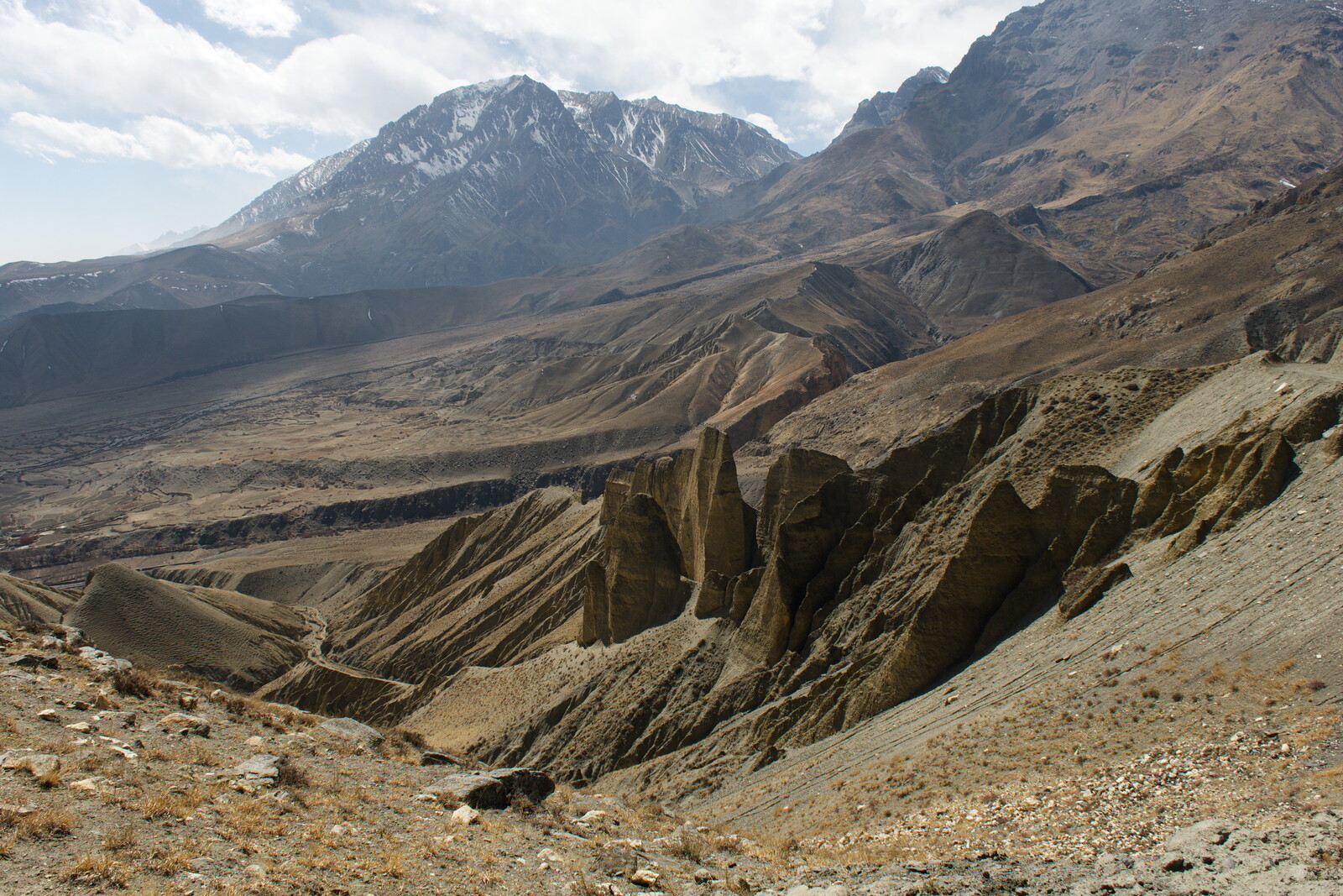 DSCF8995.jpg