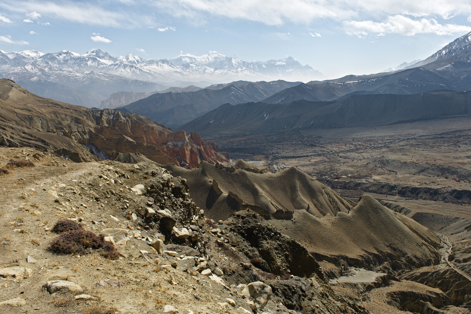 DSCF8997.jpg