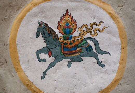 DSCF9011