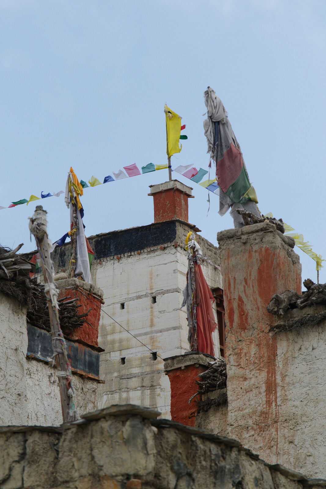 DSCF9021.jpg