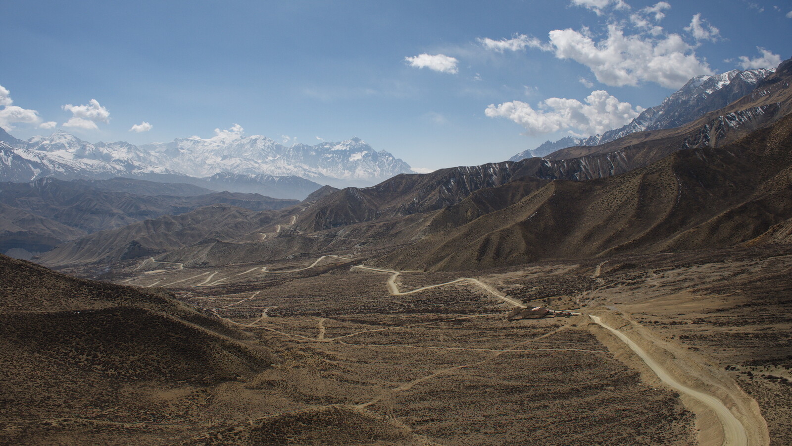 DSCF9029.jpg