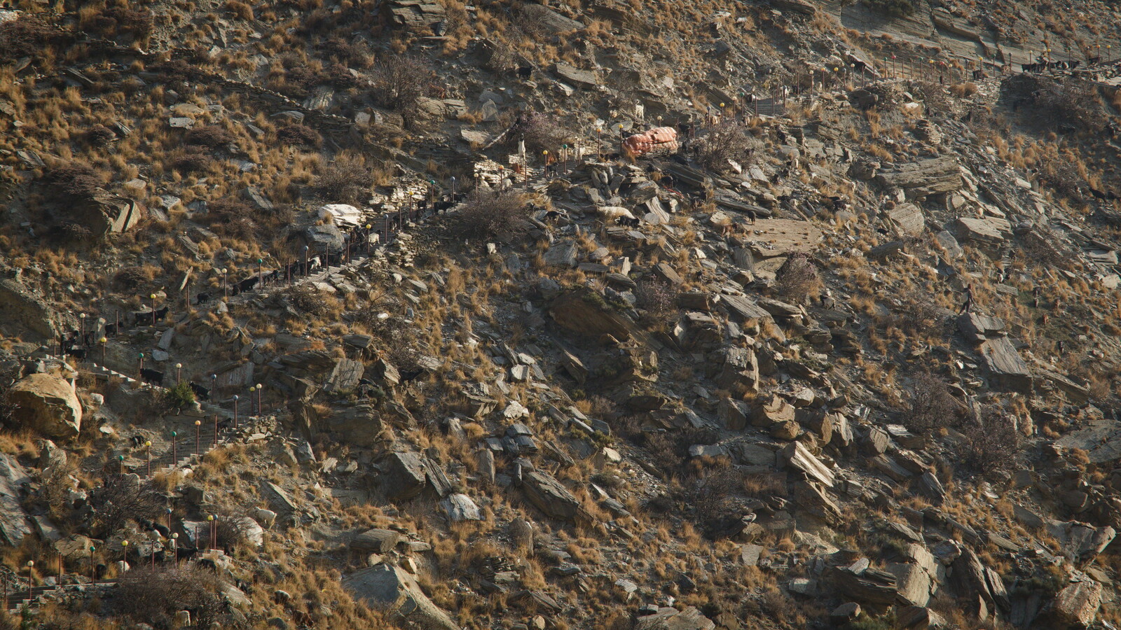 DSCF9040.jpg