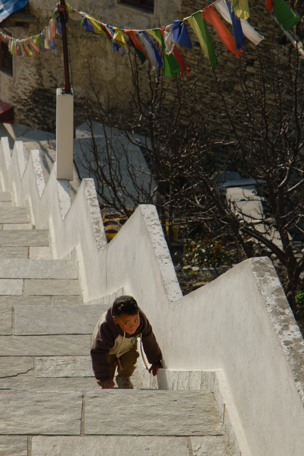 DSCF9041.jpg