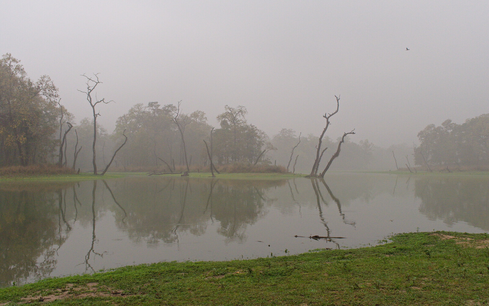 DSCF9073.jpg