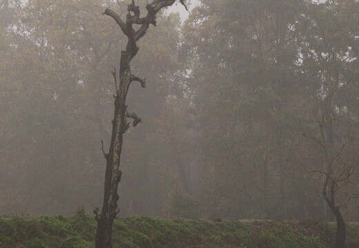 DSCF9077